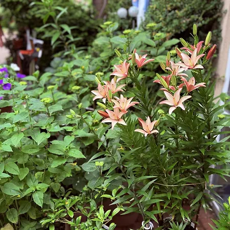 Glan Kwatera prywatna