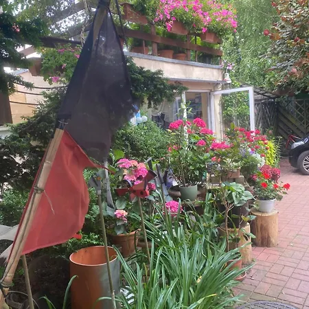 Проживание в семье Glan *