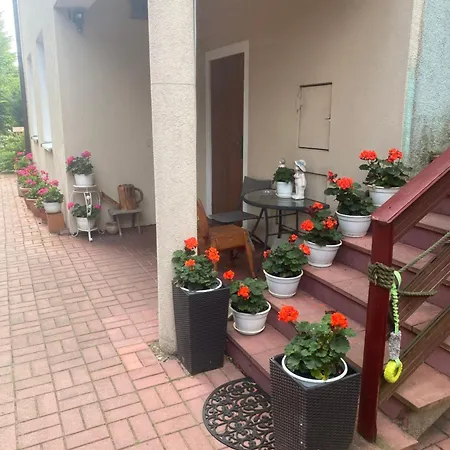 Glan Проживание в семье *