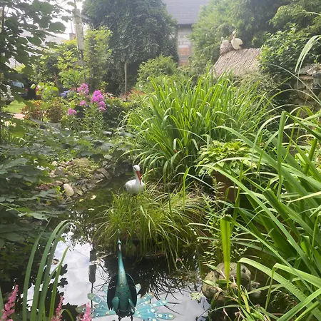 Проживание в семье Glan *