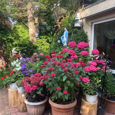 Проживание в семье Glan