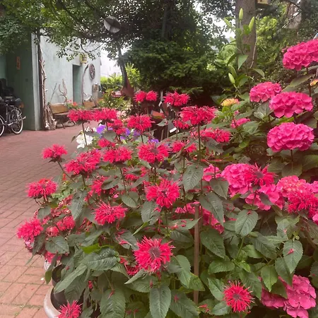 Проживание в семье Glan Леба