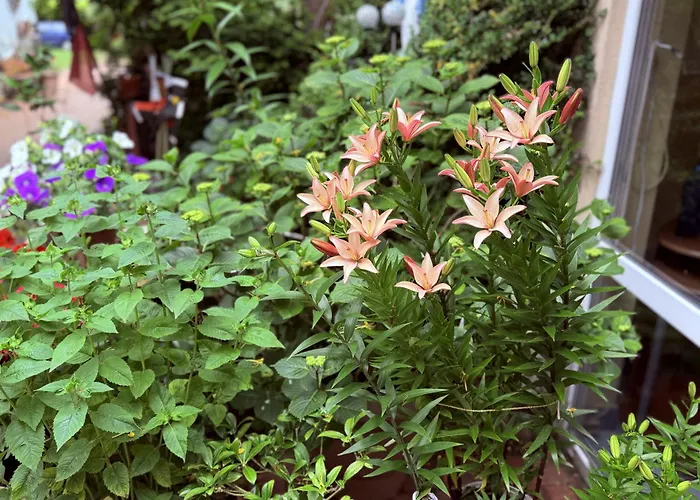 Glan Ubytování v soukromí