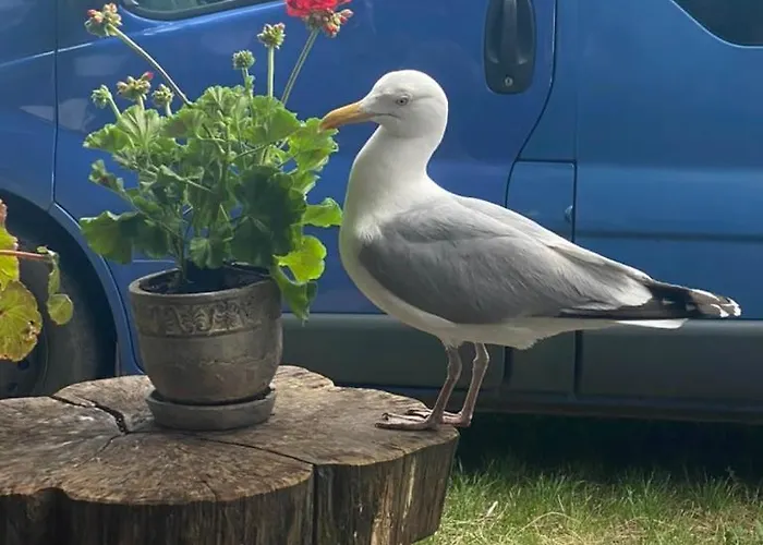 Ubytování v soukromí Glan